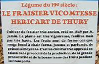 12 - Legume du 19e - Le Fraisier Vicomtesse Hericart de Thury.jpg